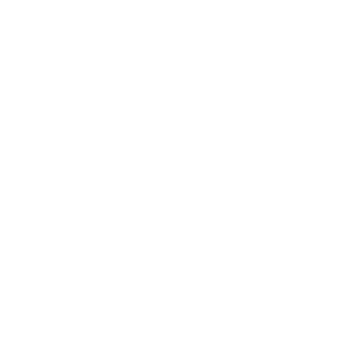 Logo Live Internet